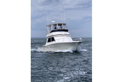 1989 Viking 35 C