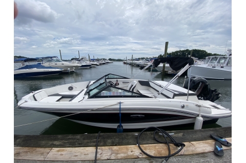 2015 Sea Ray 190 SPX Outboard